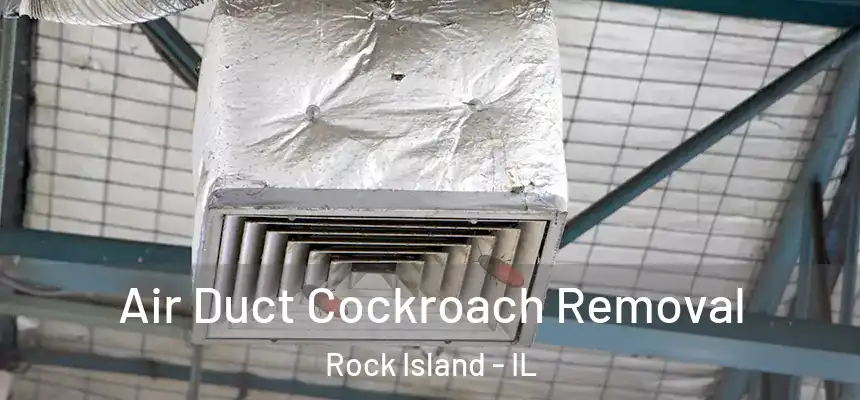  Air Duct Cockroach Removal Rock Island - IL