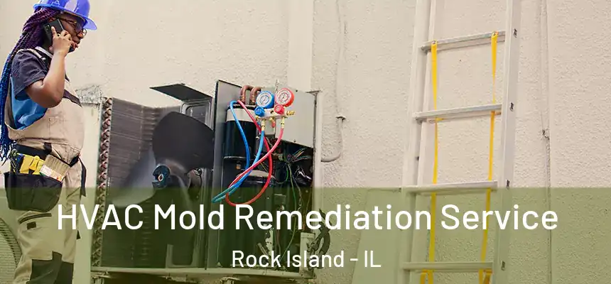  HVAC Mold Remediation Service Rock Island - IL