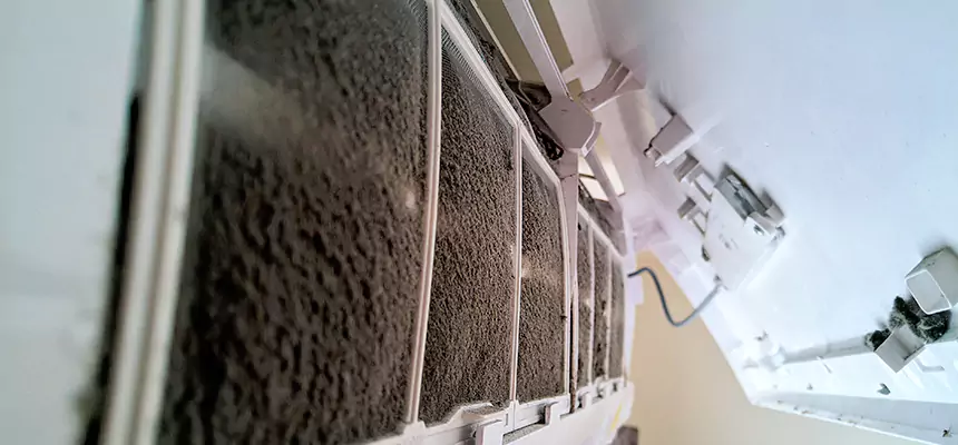 Preventive Air Duct Bacteria Removal in Rock Island