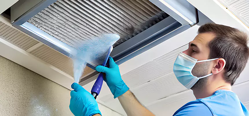 Proactive Dryer Vent & Auxiliary Duct Pollen Cleanup in Rock Island, IL