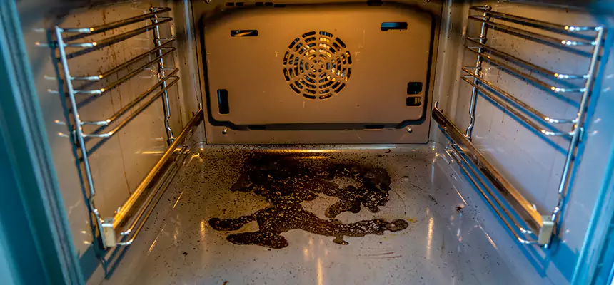 Our Dryer Vent Mold Cleaning Services in Rock Island, IL