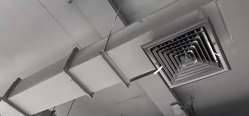 Our Rodent Droppings In Vents Services in Rock Island, IL