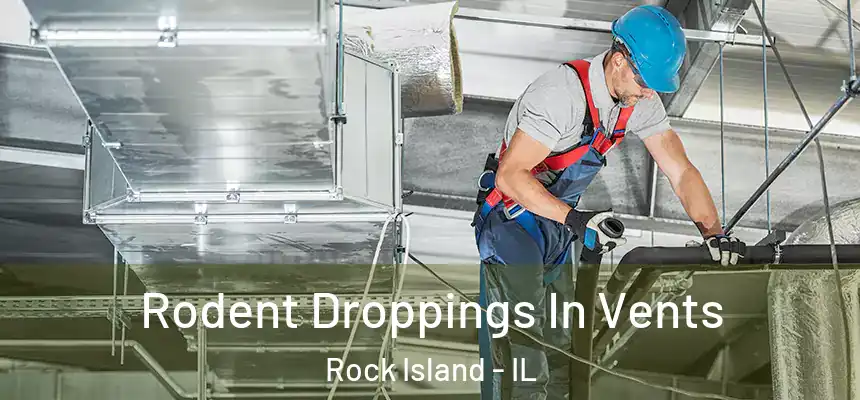  Rodent Droppings In Vents Rock Island - IL