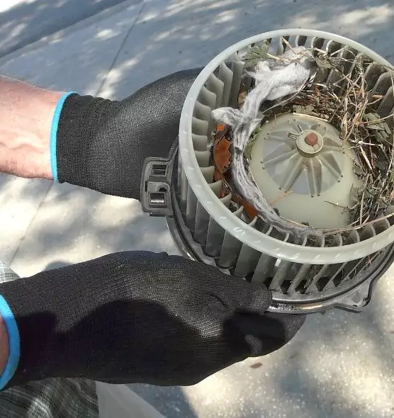 About Air Duct Rat Removal in Rock Island, IL