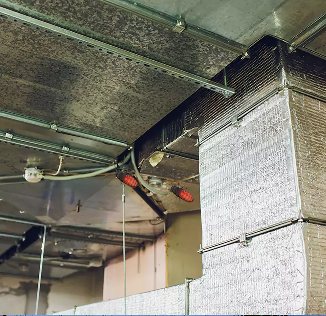 Why Homeowners & Businesses Trust Us in Rock Island, IL?