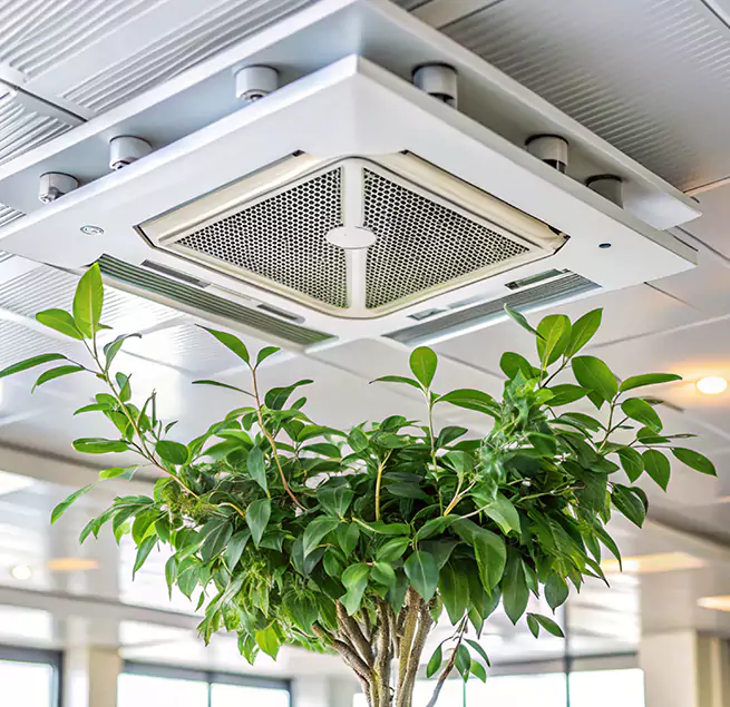 Why Homeowners & Businesses Trust Us in Rock Island, IL