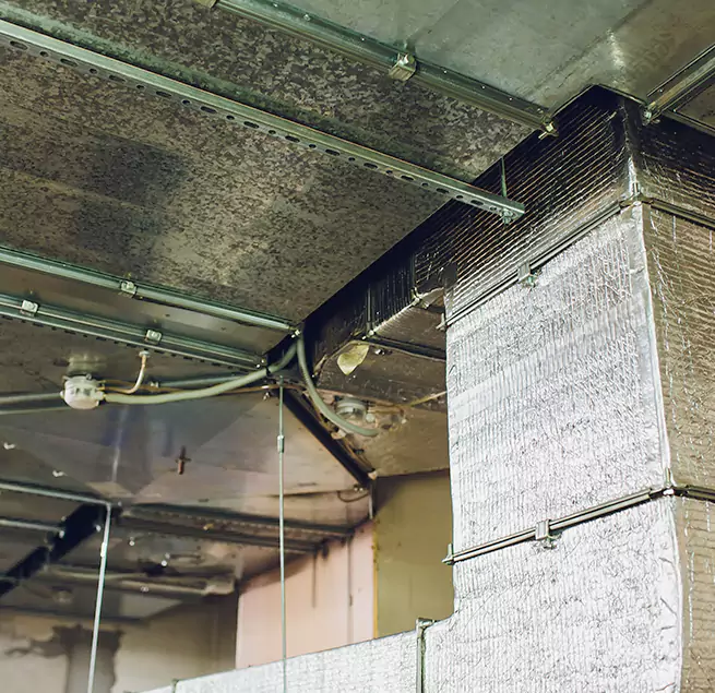 Why Homeowners & Businesses Trust Us in Rock Island, IL?